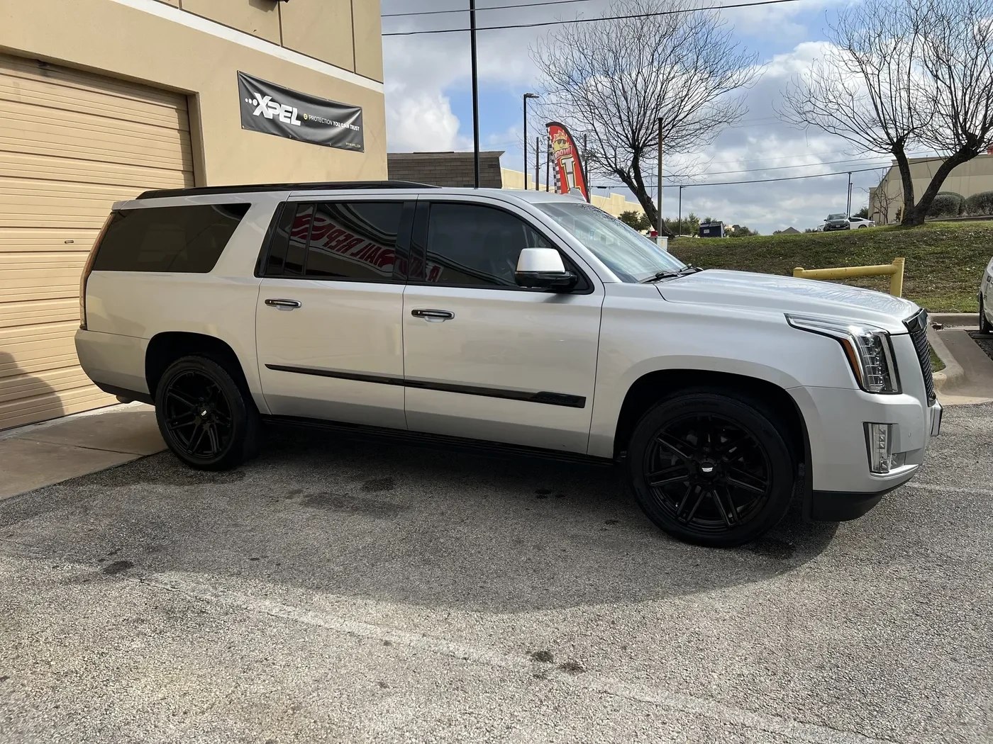 Expert window tinting services at The Carologist